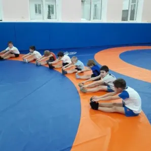 Вольная борьба
