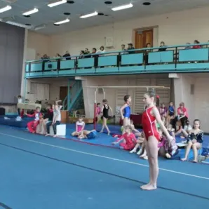 Спортивная гимнастика