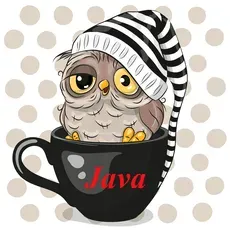 Основы языка Java