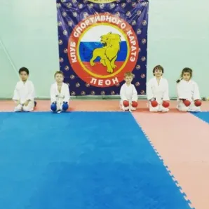 Каратэ WKF