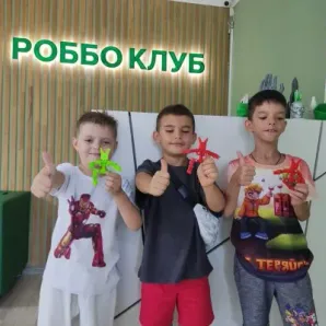 Игровая робототехника