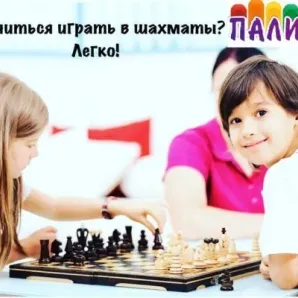 Шахматы
