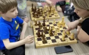 Шахматы