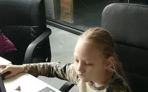 Создание видео и анимаций для детей