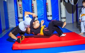 ММА, бокс, грэпплинг, BJJ, тайский бокс
