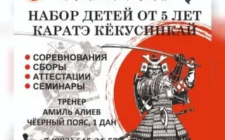 Каратэ Кекусинкай «Самурай»