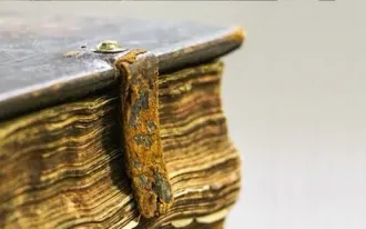 Эксклюзивные экскурсии по Омскому музею книги