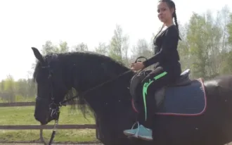 Обучение верховой езде