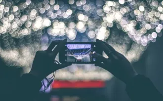 Фотография