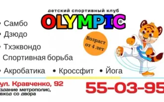 Секции акробатики и единоборств