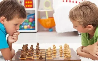 Шахматы