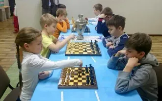 Шахматы