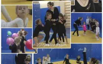 Художественная гимнастика