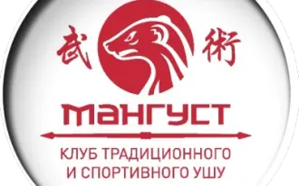 Ушу