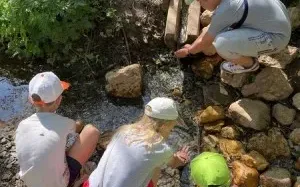 Городской лагерь "Лучшее лето в Познавариум"