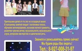 Театр эстрадной песни "Baby-Star"