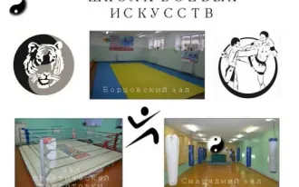 Школа боевых искусств «Файтайгер»