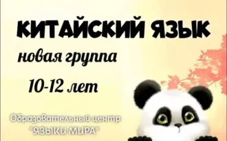 Китайский язык