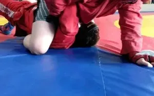 Боевое самбо 17+