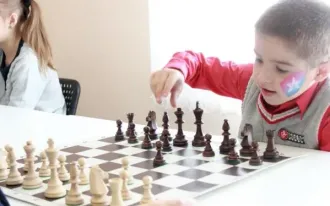 Шахматы