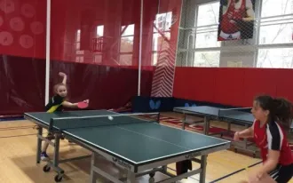 Настольный теннис