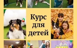 Курс "Юный дрессировщик собак"