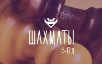 Шахматы