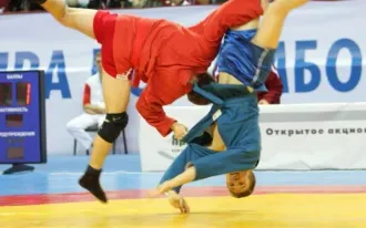 Спортивный клуб дзюдо и самбо Masters (в мкр. Крутые Ключи)