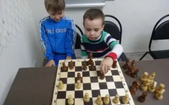Шахматы