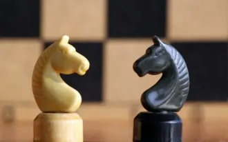 ШАХМАТНЫЙ КЛУБ «ЛАДЬЯ»