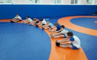 Вольная борьба