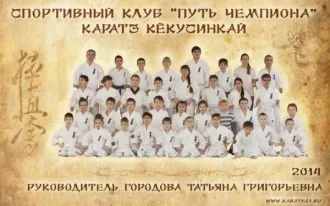 Спортивный клуб карате «Путь чемпиона» (на пр. Ленина)
