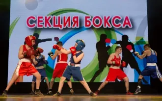 секция БОКСА