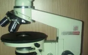 Увлекательная микроскопия