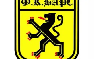 Футбольная школа Барс (Фрунзенский район, ул. Салова, 57 к6)