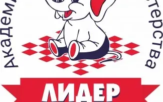 Шахматы