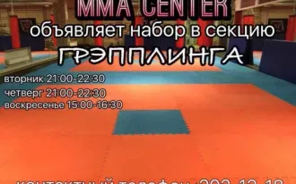 Грепплинг