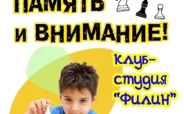 шахматы