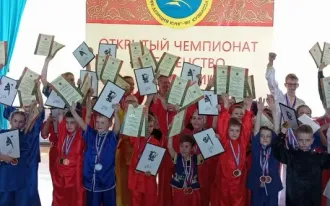 Ушу (Кунг-фу)