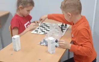Шахматы