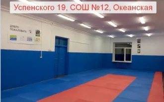 Айкидо Айкикай (на ул. Успенского)