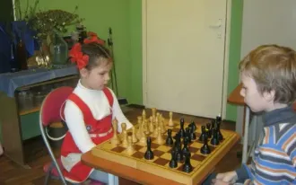 Шахматы