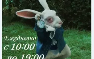 Выставка ростовых фигур «Сказочный лес»