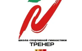 Спортивная гимнастика для мальчиков