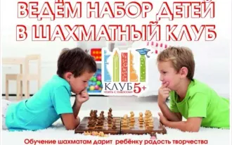 Шахматы