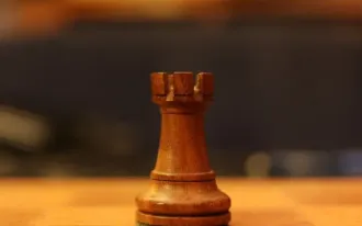 Шахматы