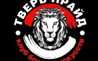 Бразильское джиу-джитсу / Единоборства