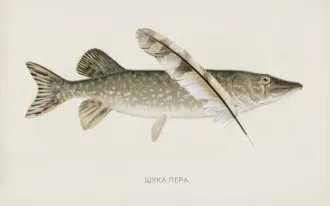 Курс "Креативная журналистика"
