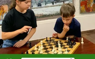 Шахматы