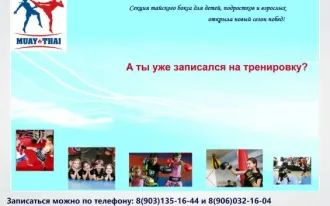 Спортивные занятия по тайскому боксу